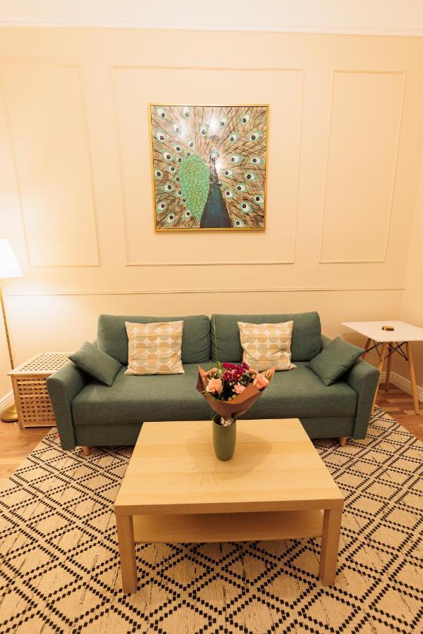 Cozy Apartment In The Historical City Center 티미쇼아라 외부 사진